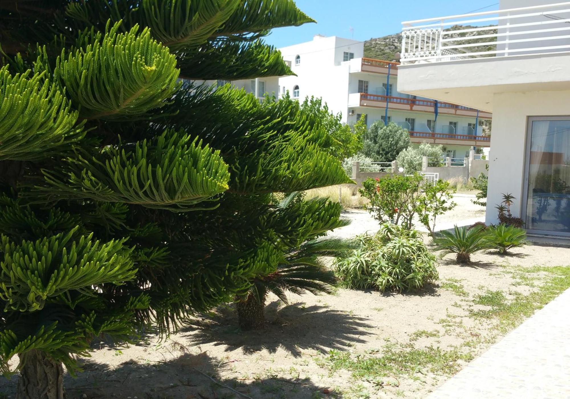Faliraki Dream Studios&Apartments Bagian luar foto
