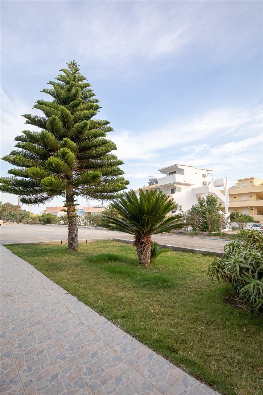 Faliraki Dream Studios&Apartments Bagian luar foto